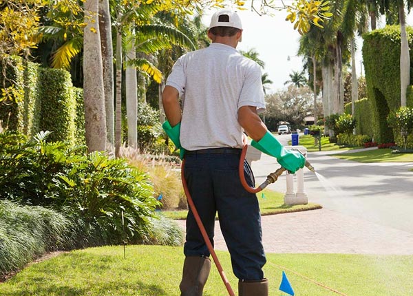 About Saint Charles IL Pest Control Pros